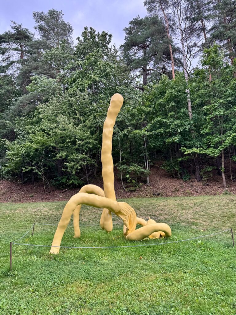"Wandelaar in Ekebergparken in Oslo, langs beelden van beroemde kunstenaars en uitzicht op de skyline van Oslo."
