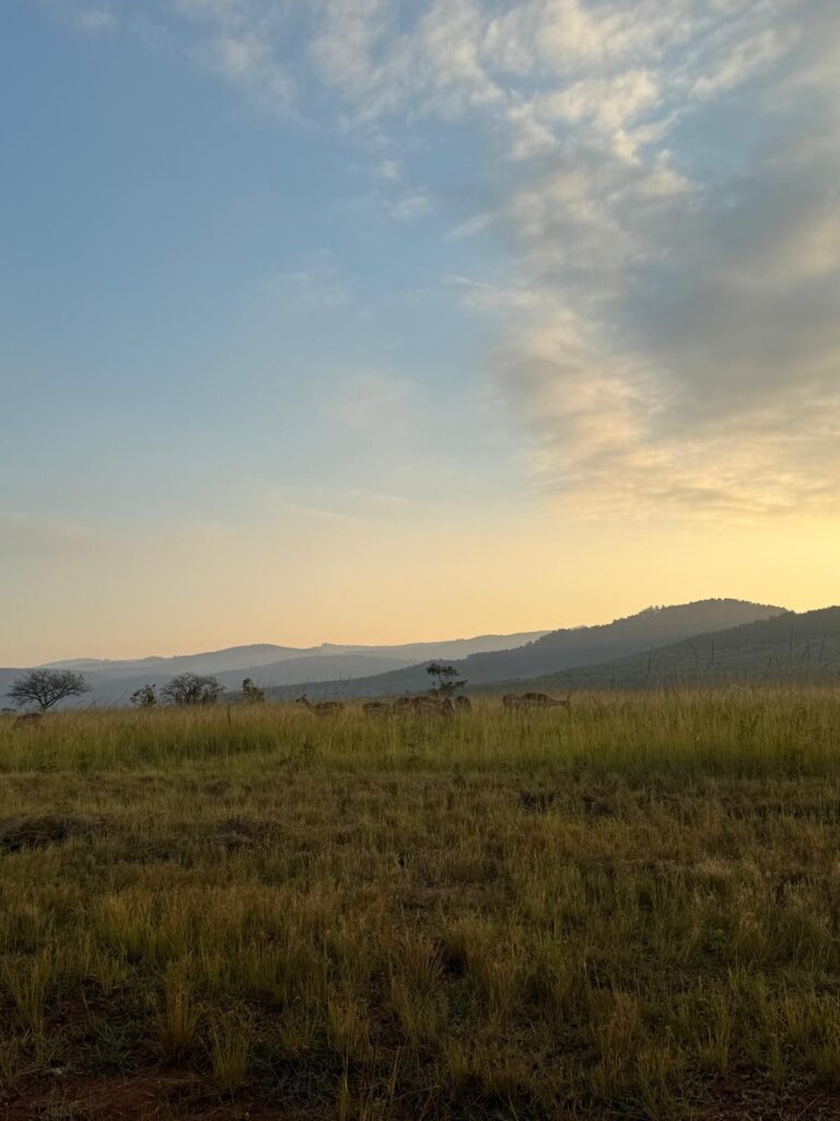 Mlilwane Game Sanctuary