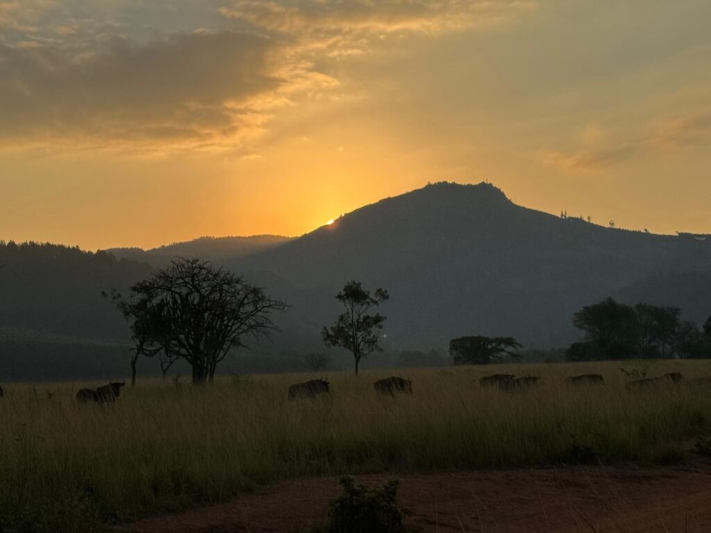 Mlilwane Game Sanctuary sunset