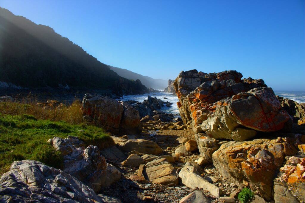Tsitsikamma National Park hike