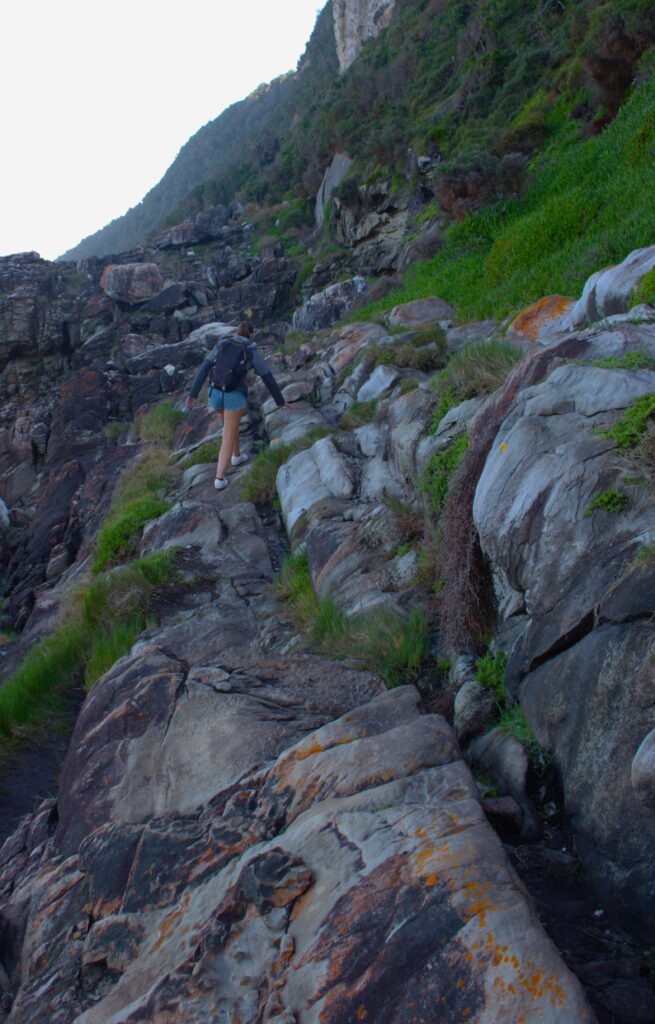 Tsitsikamma National Park hike