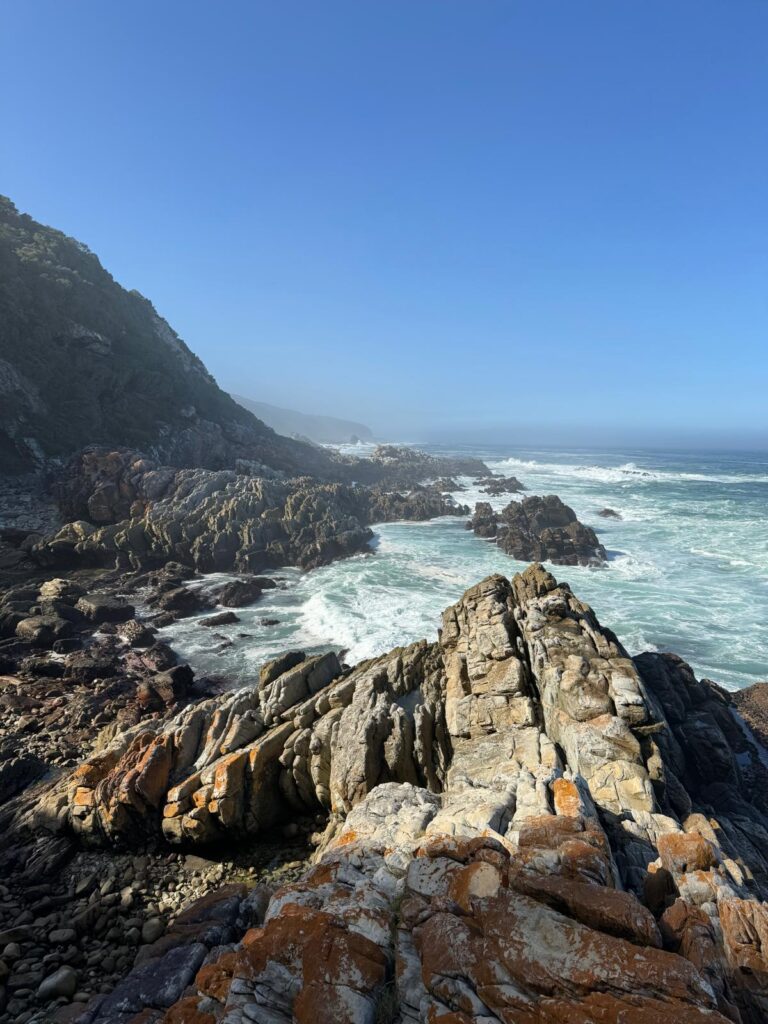 Tsitsikamma National Park Hike