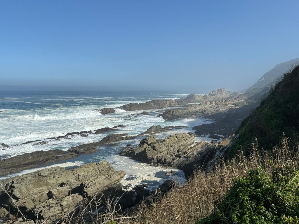 Tsitsikamma National Park Hike