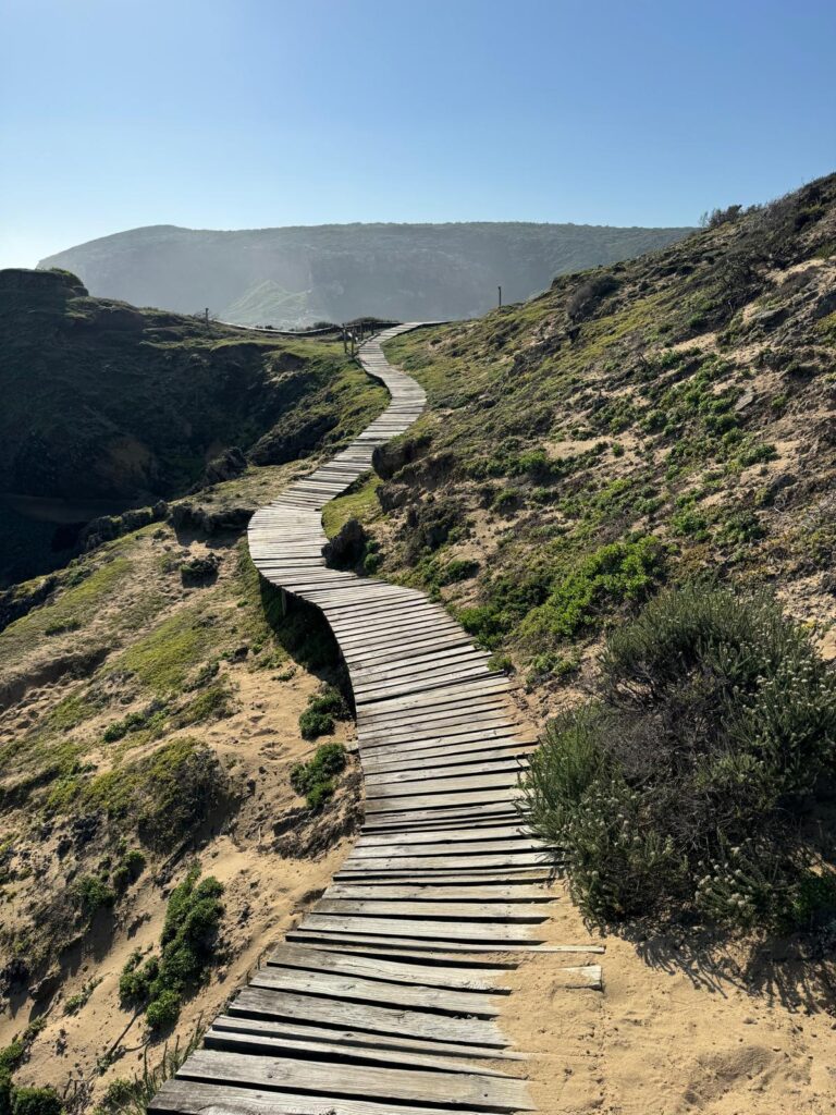 Robberg Hike the island