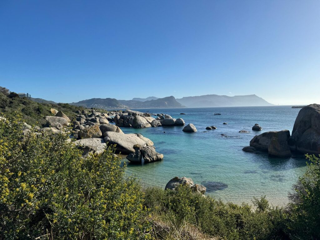 Boulders Beach Garden Route naar Kaapstad