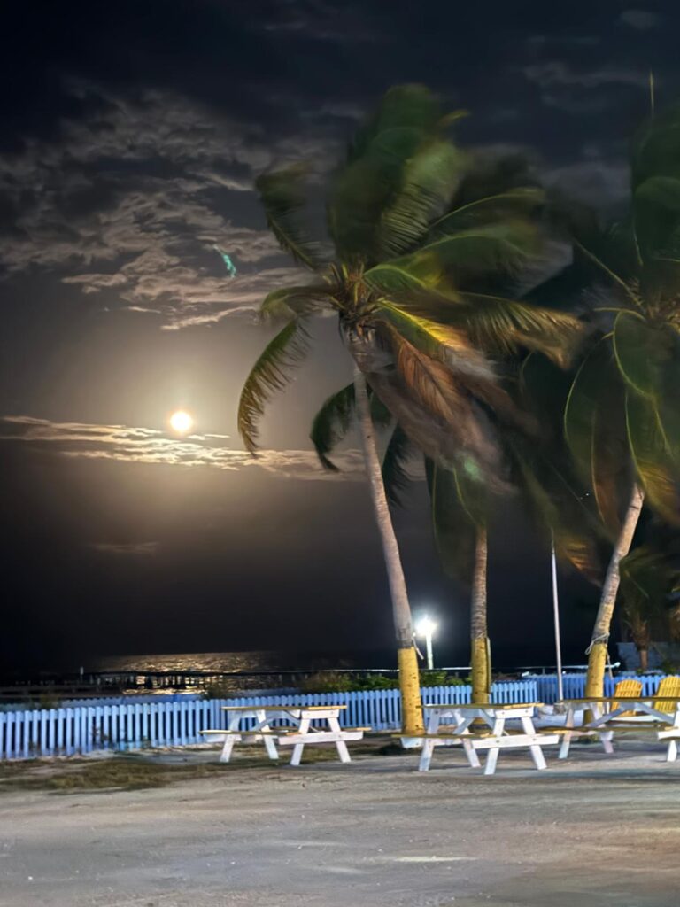 maanlicht Caye Caulker