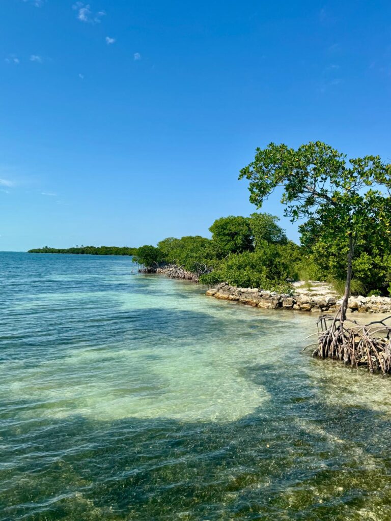 Bliss Beach Caye Caulker, Belize