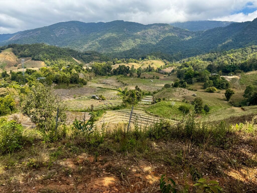 Ban Pa Pong Piang rijstvelden Mae Hong Son Loop Reisroute Thailand