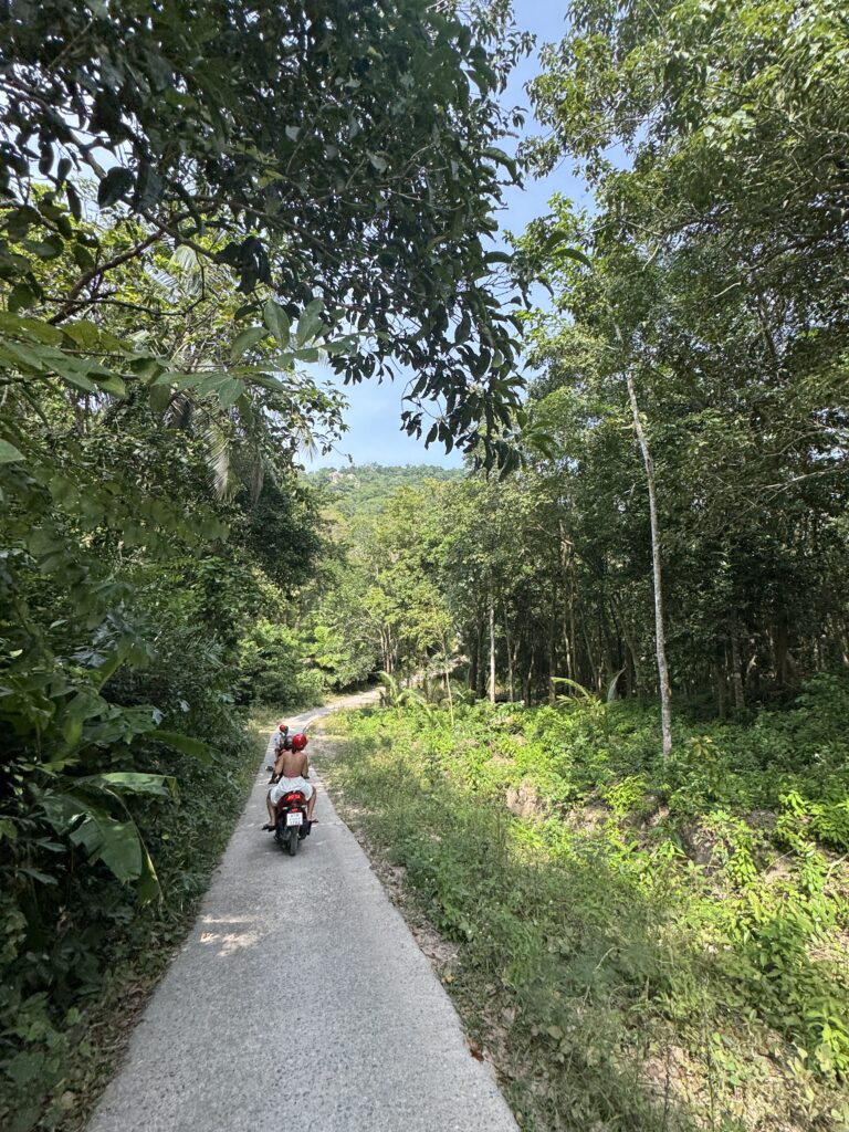 Scooter Koh Tao Reis Thailand