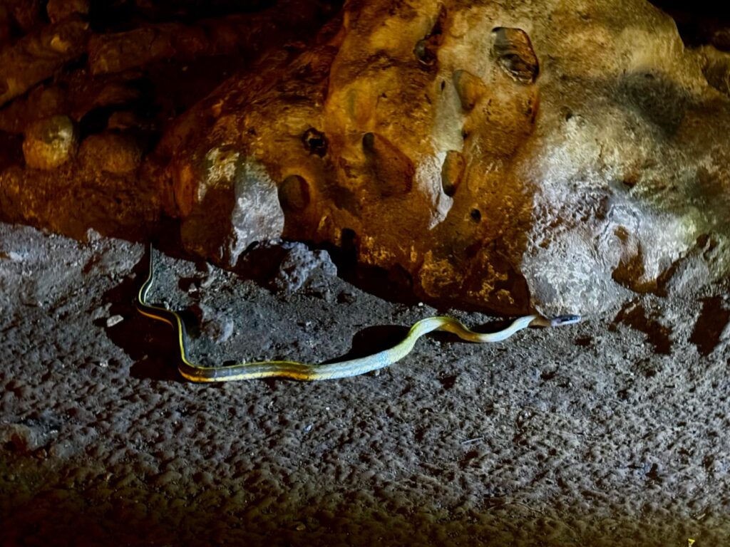 Slang Nam Lod Cave