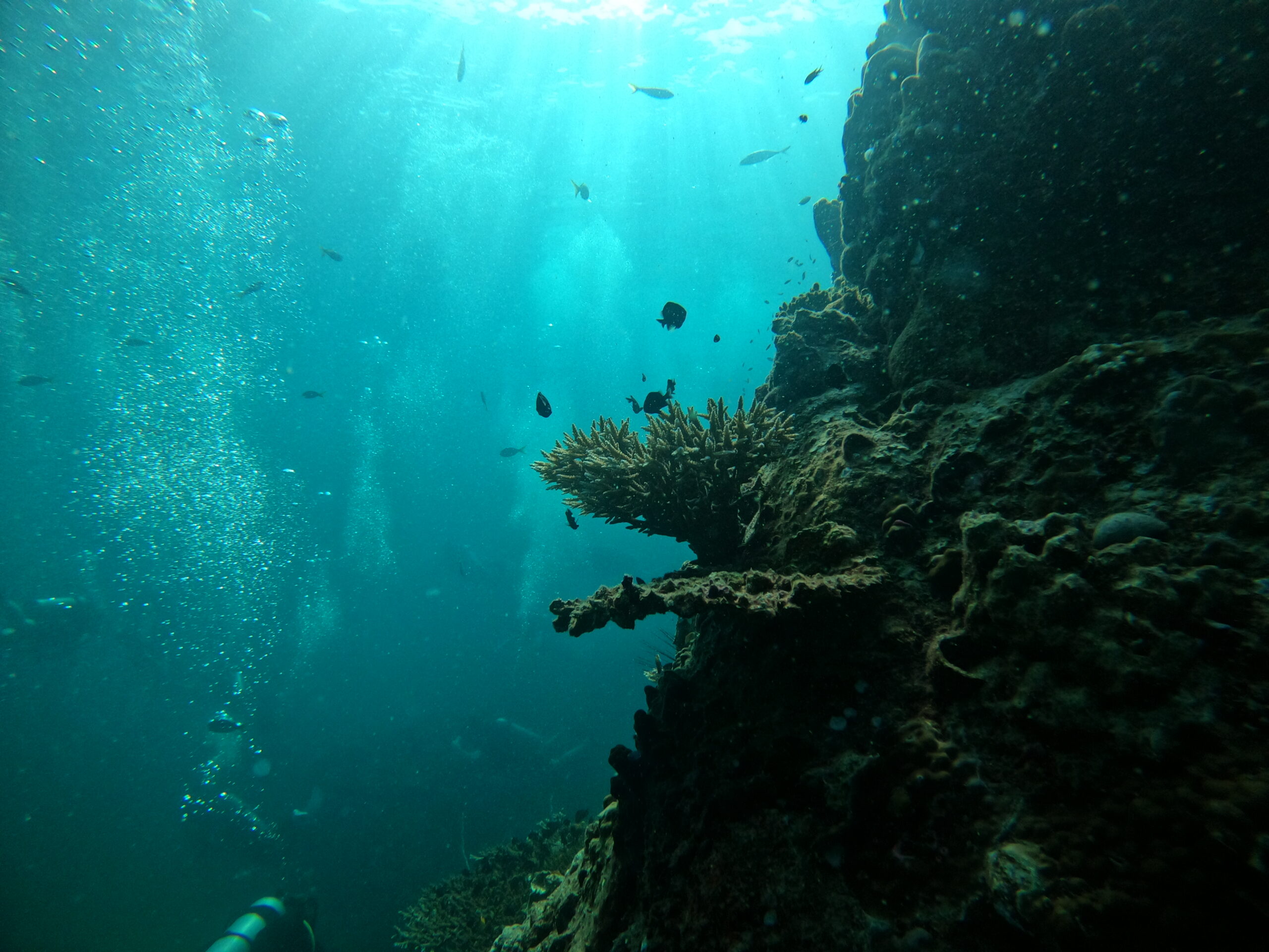 Duiken Impian Divers Koh Tao Duikbrevet halen Koh Tao
