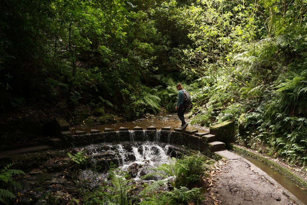 Levada do Rei Madeira