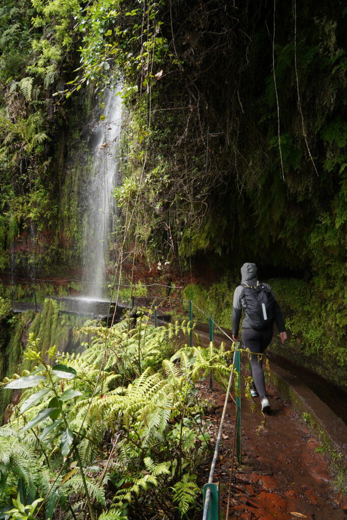 PR18 Levada do Rei wandeling Madeira