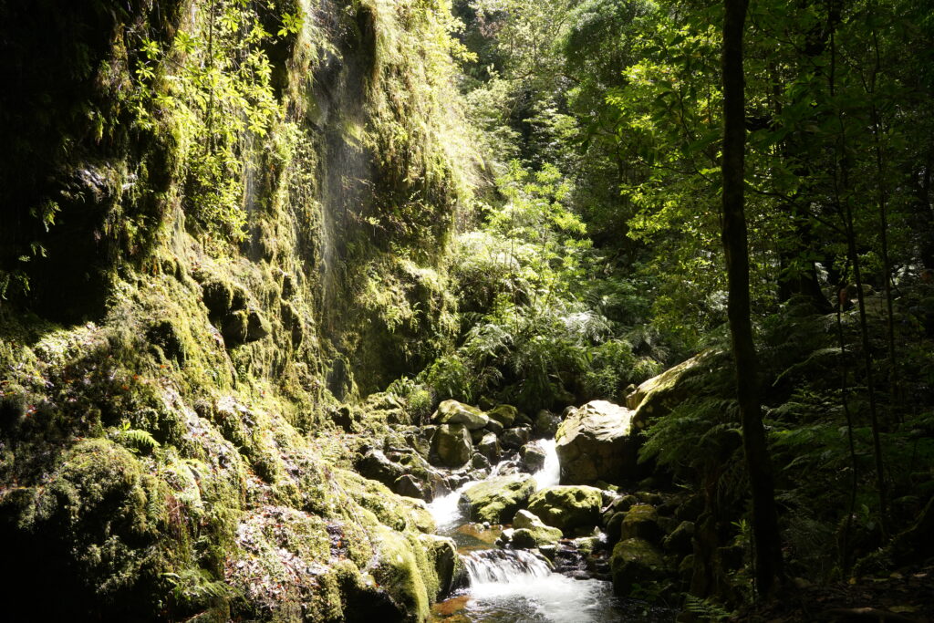 PR18 Levada do Rei wandeling Madeira