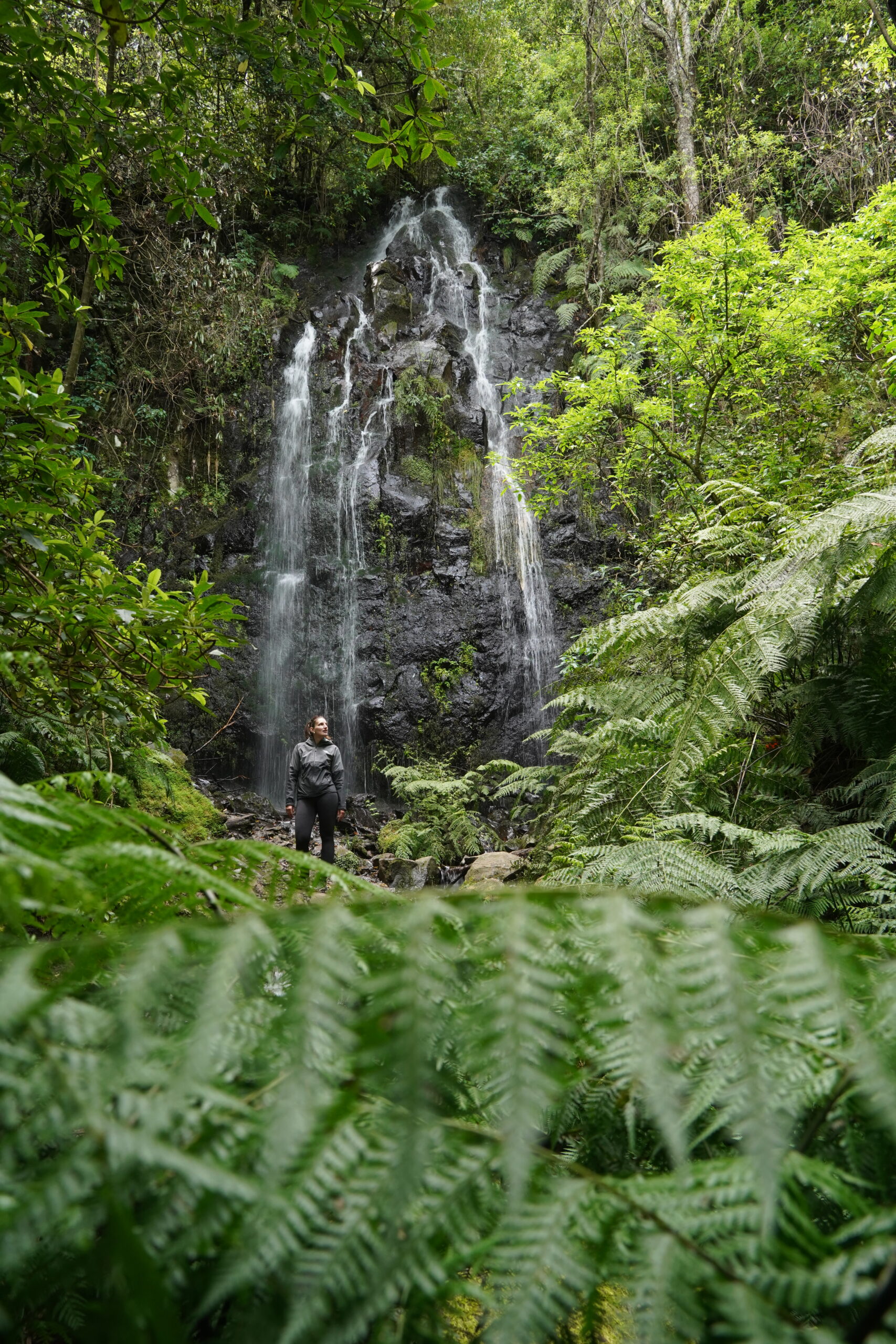 Levada do Rei waterval