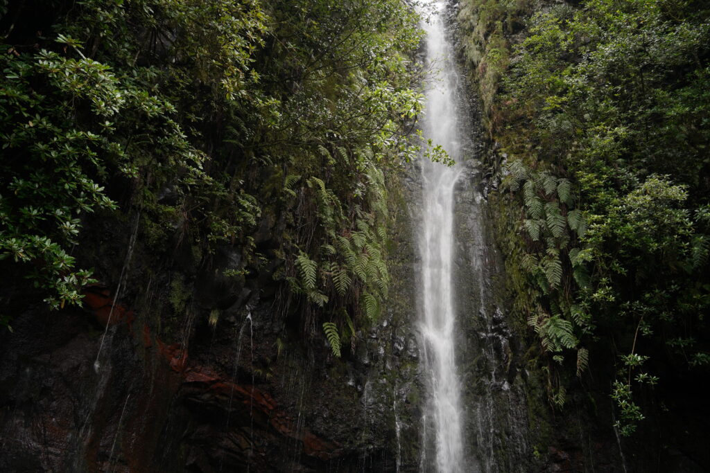 Levada das 25 Fontes