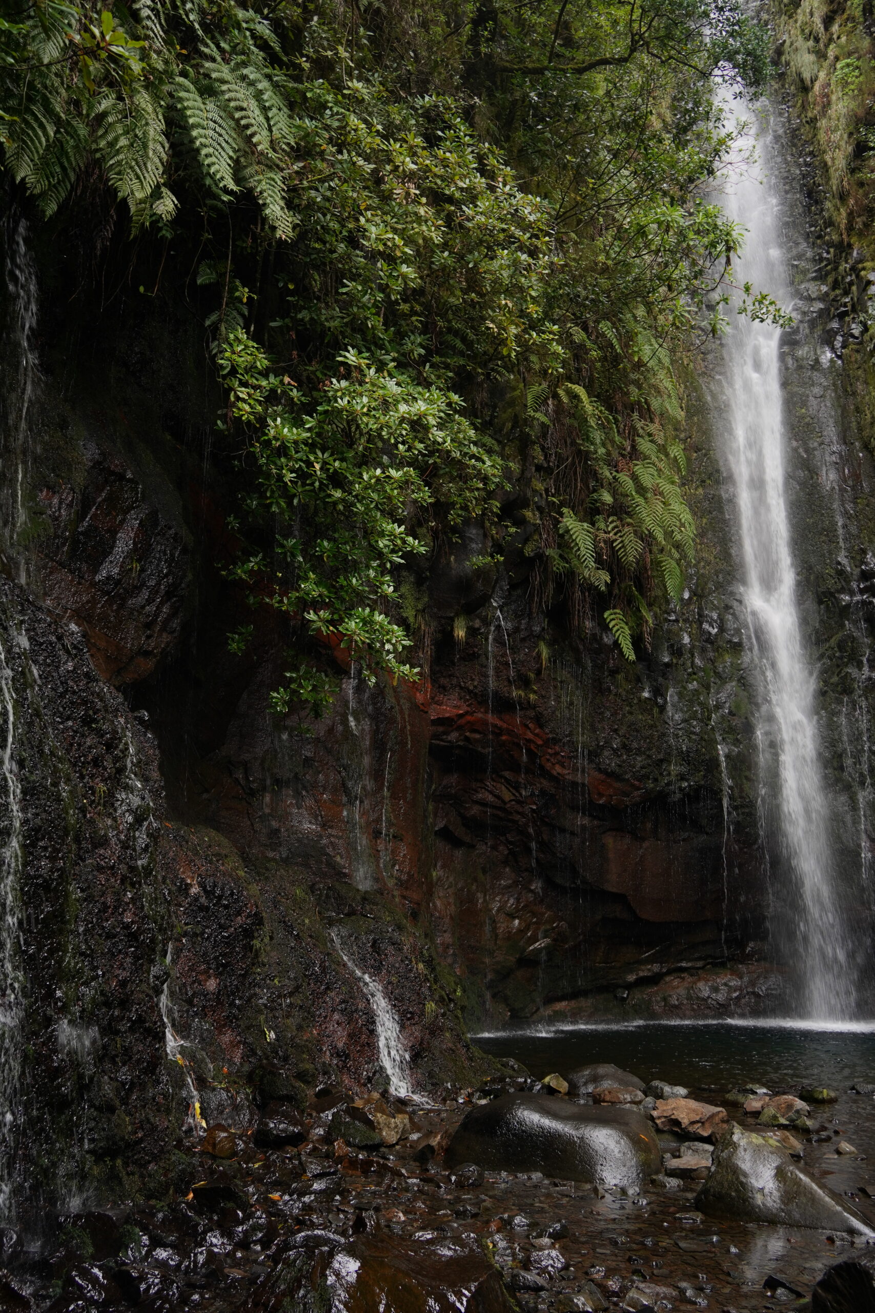 Levada das 25 Fontes