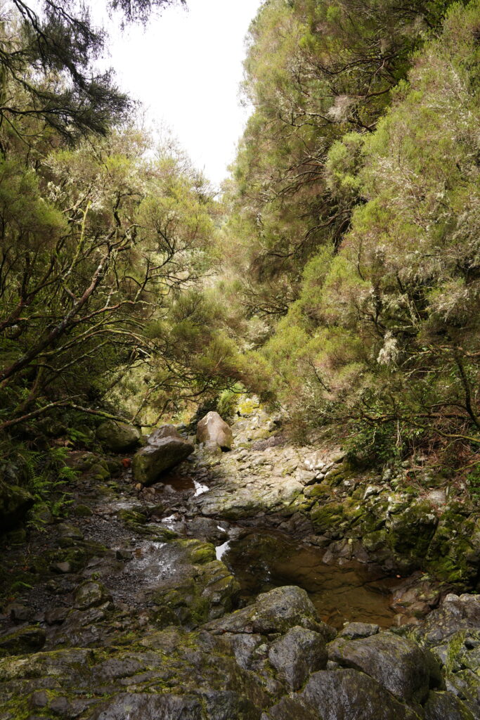 Levada das 25 Fontes