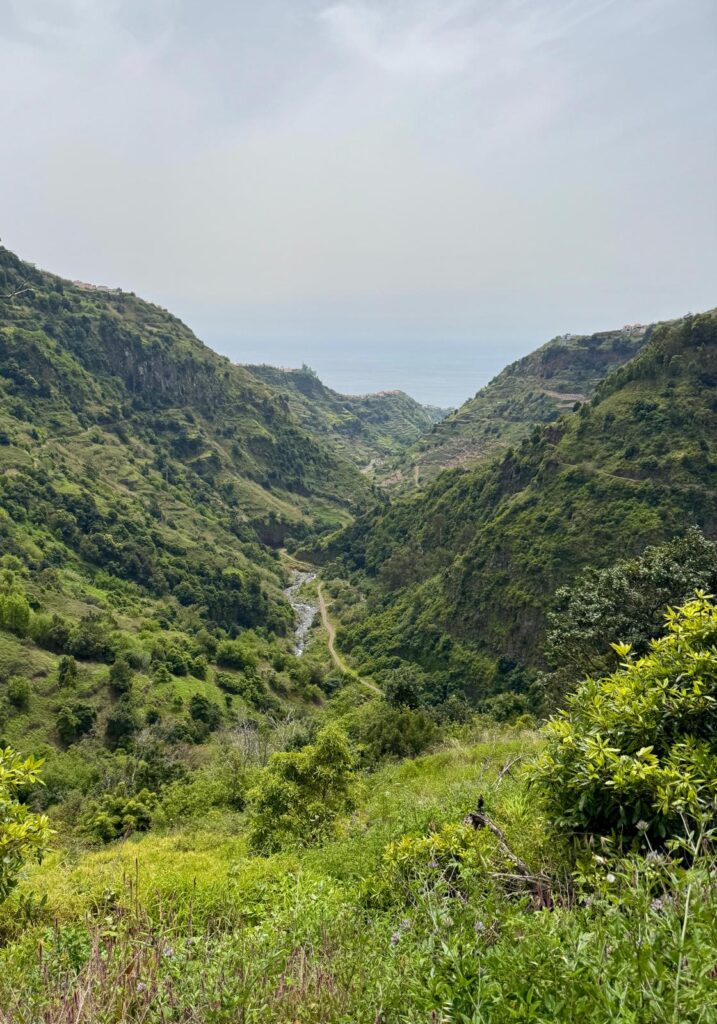 Levada do Moinho & Levada Nova