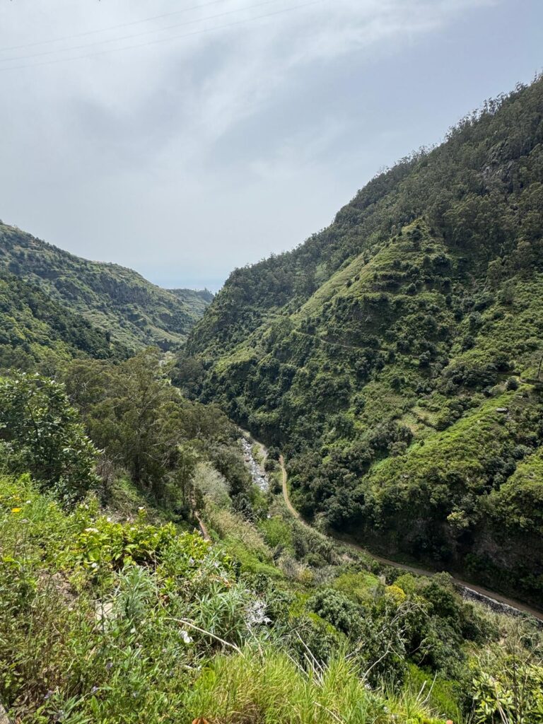 Uitzicht Levada Nova