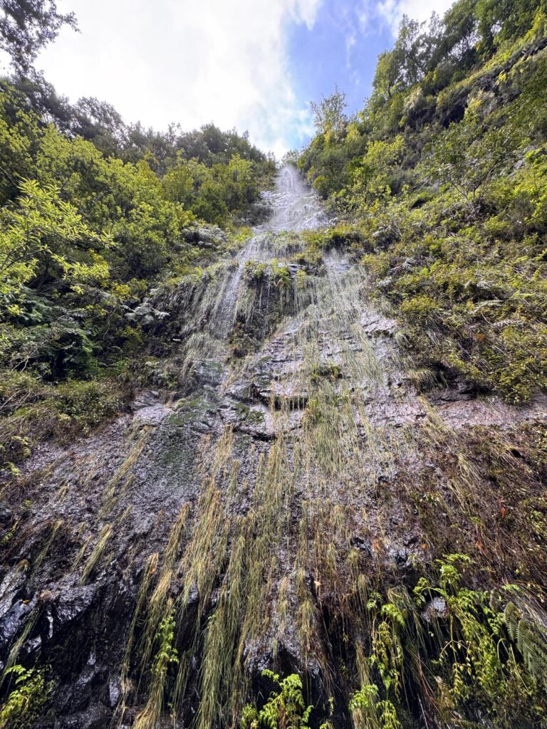 Waterval levada do rei