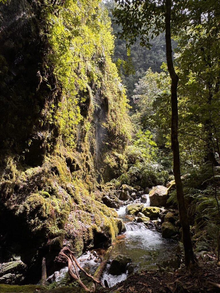 eindpunt levada do rei