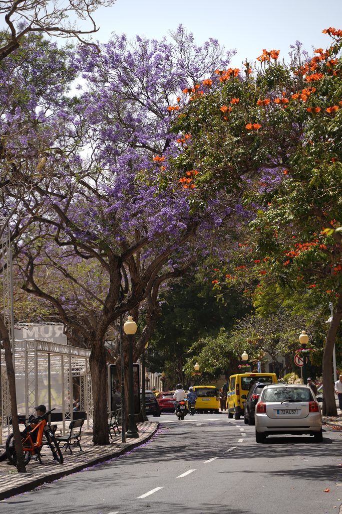 Wegen Funchal Madeira